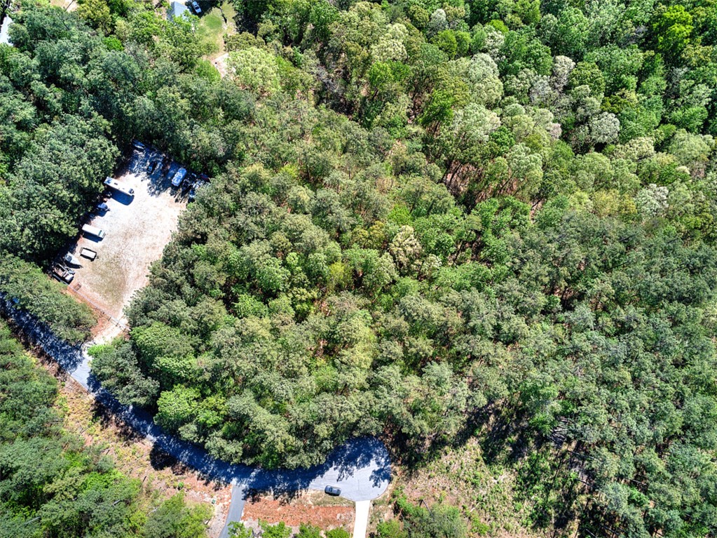 Lot E-30 Pine Ridge Way Salem, SC 29676 - Photo 8 of 11 This verdant expanse offers an exceptional opportunity for creating a private retreat amidst nature's tranquility.