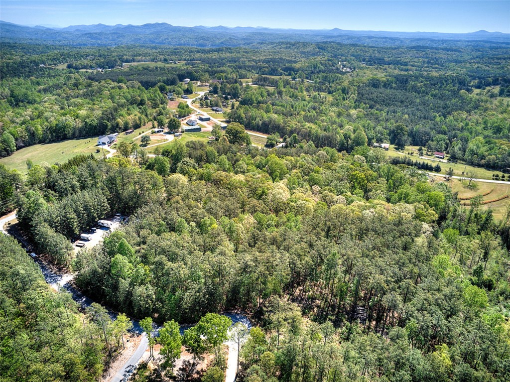 Lot E-30 Pine Ridge Way Salem, SC 29676 - Photo 10 of 11 This elevated view captures the tranquil beauty of a sprawling natural landscape with distant mountains.