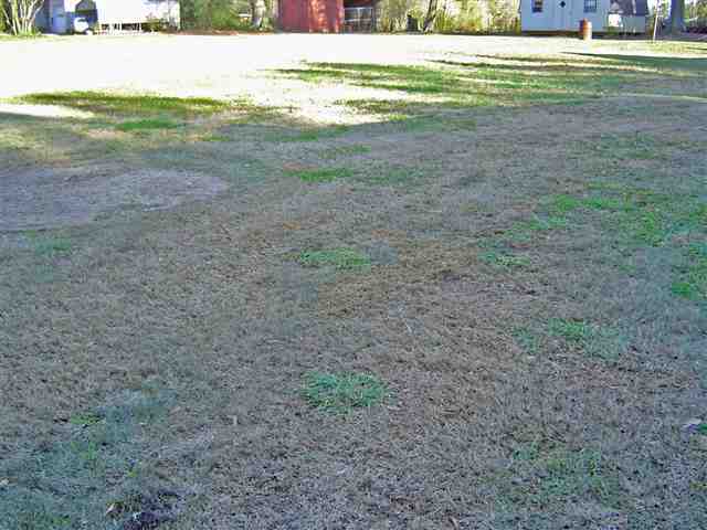 105 Milwee Creek Road Pendleton, SC 29670 - Photo 12 of 12
