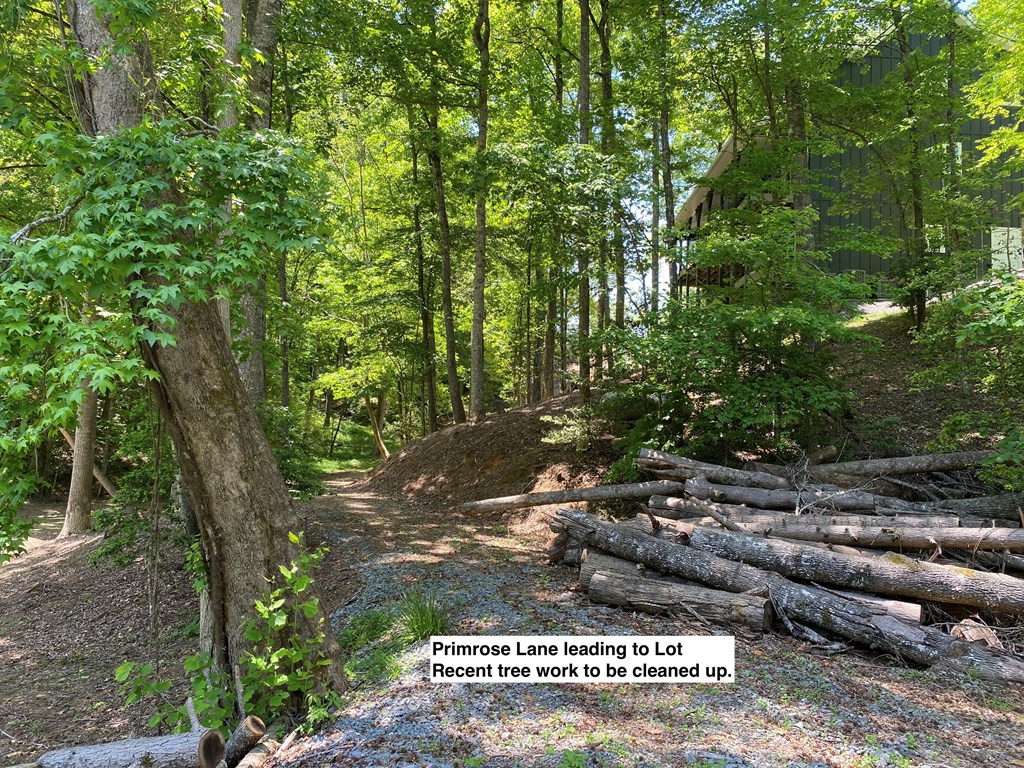 Tbd Village Road Murphy, NC 28906 - Photo 6 of 21