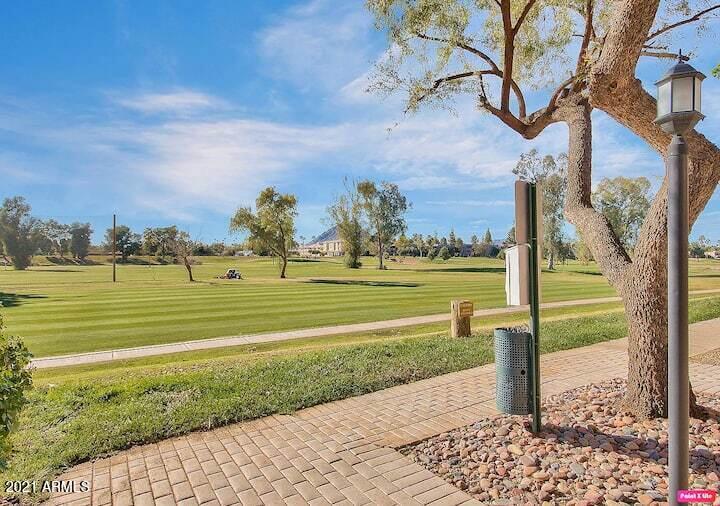 3500 North Hayden Road, Unit 1511 Scottsdale, AZ 85251 - Photo 22 of 26 a view of a park with large trees