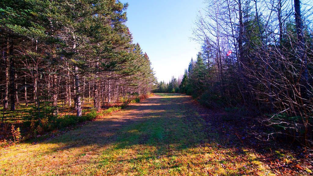 39.1 County Road Houlton, ME 04761 - Photo 8 of 36 ludlow-land-brewer-15