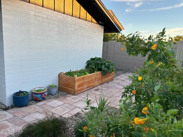 a view of a backyard with plants