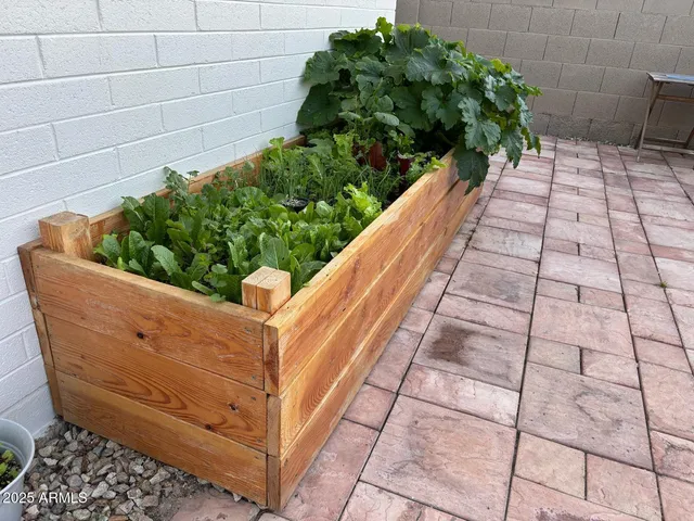 a view of a backyard with plants