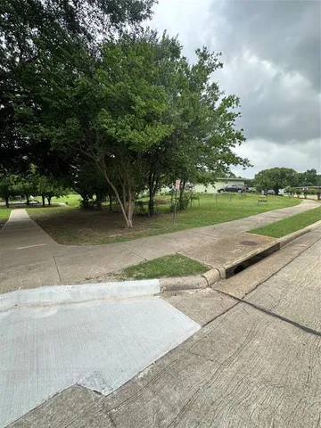 a view of a yard with flower plants