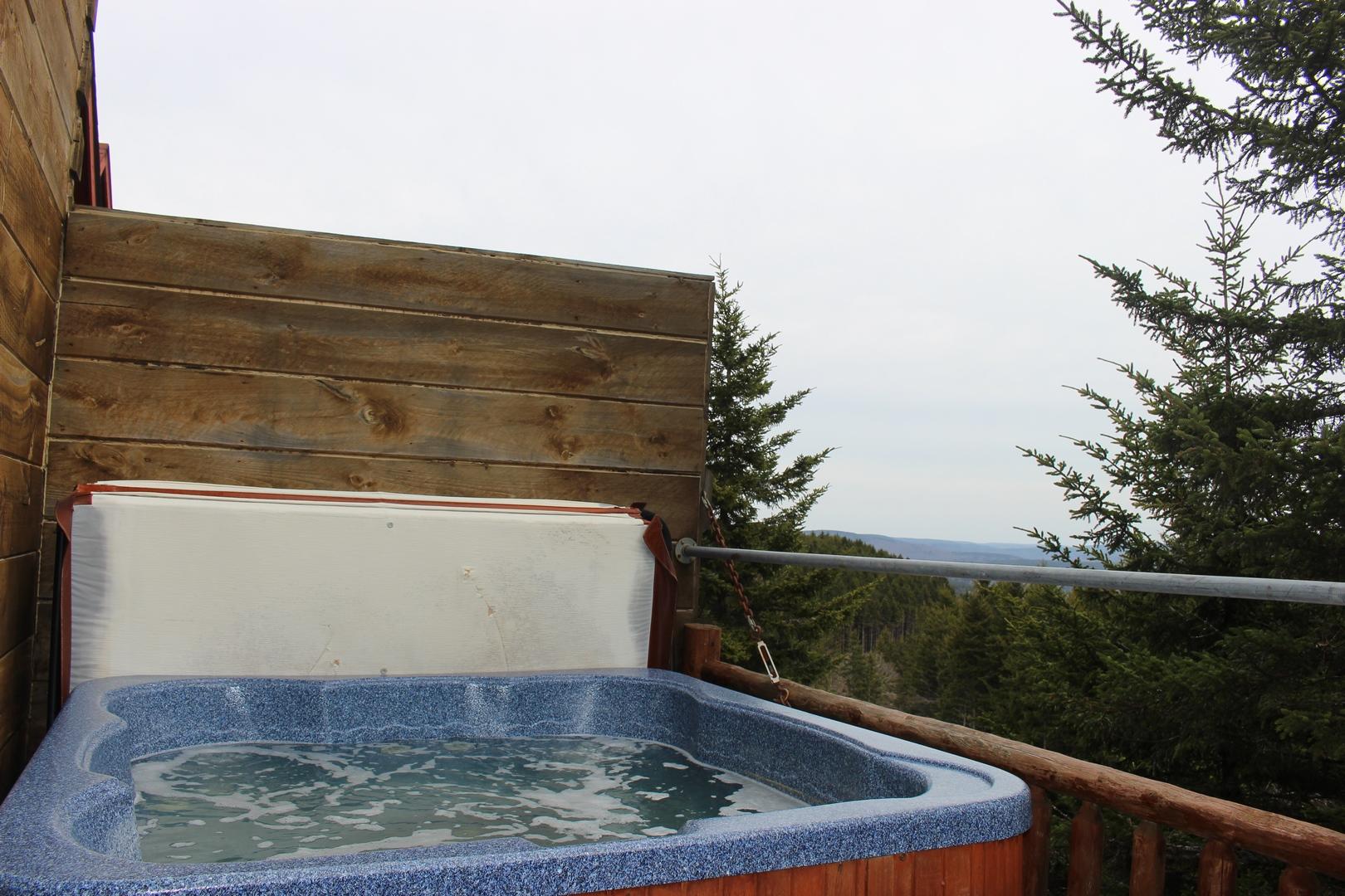 12 Loggers Run Slatyfork, WV 26291 - Photo 6 of 32 Gallery Image 6