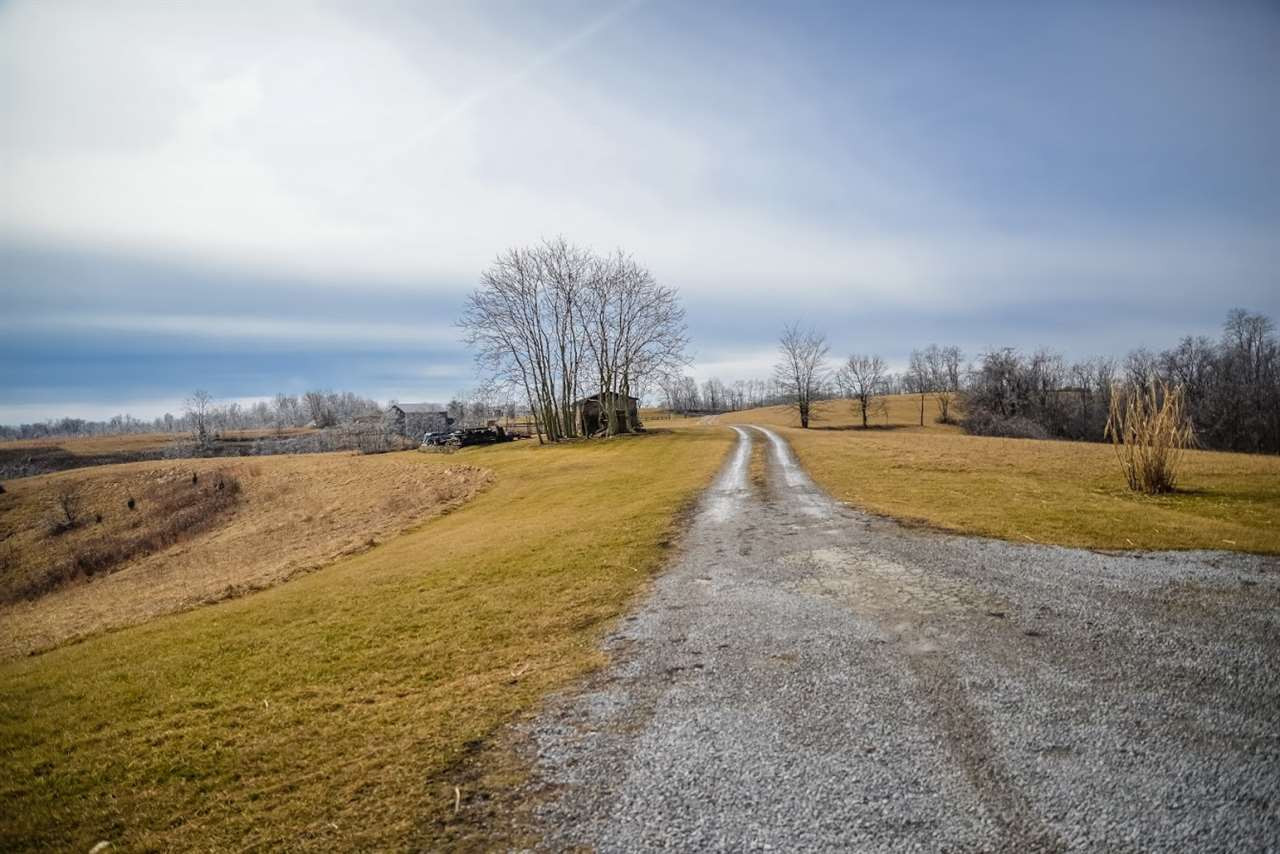 261 Clos Road Falmouth, KY 41040 - Photo 13 of 20 Gallery Image 13