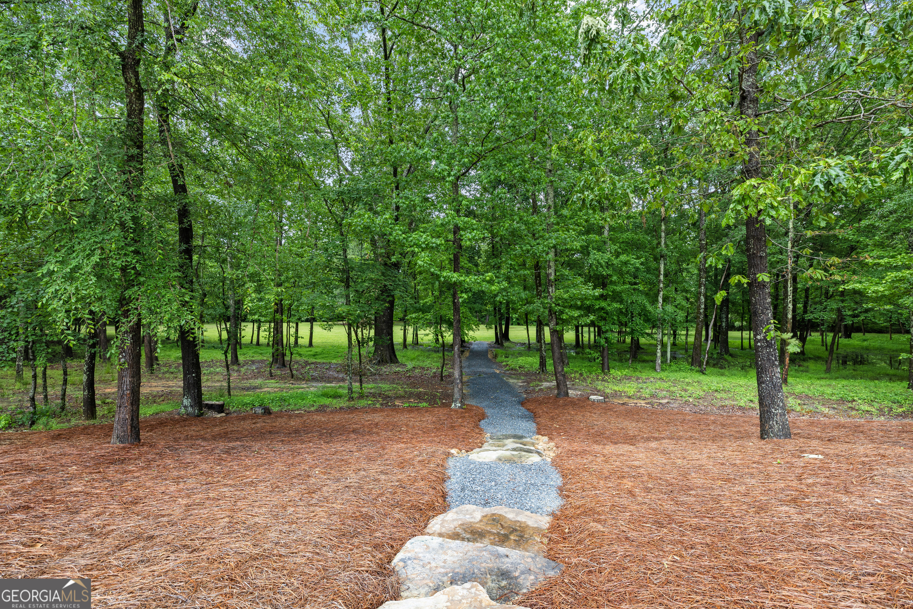 752 Grant Road Brooks, GA 30205 - Photo 100 of 132 a view of a park with large trees
