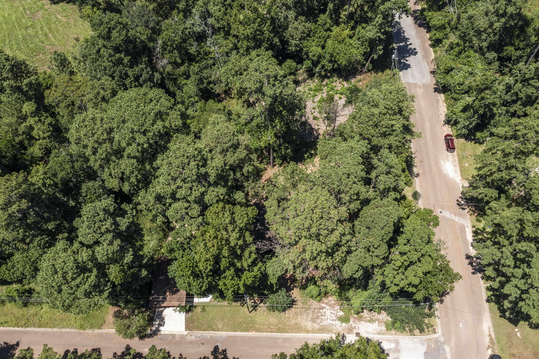 114 Hillendale Street Livingston, TX 77351 - Photo 41 of 46 a view of a yard