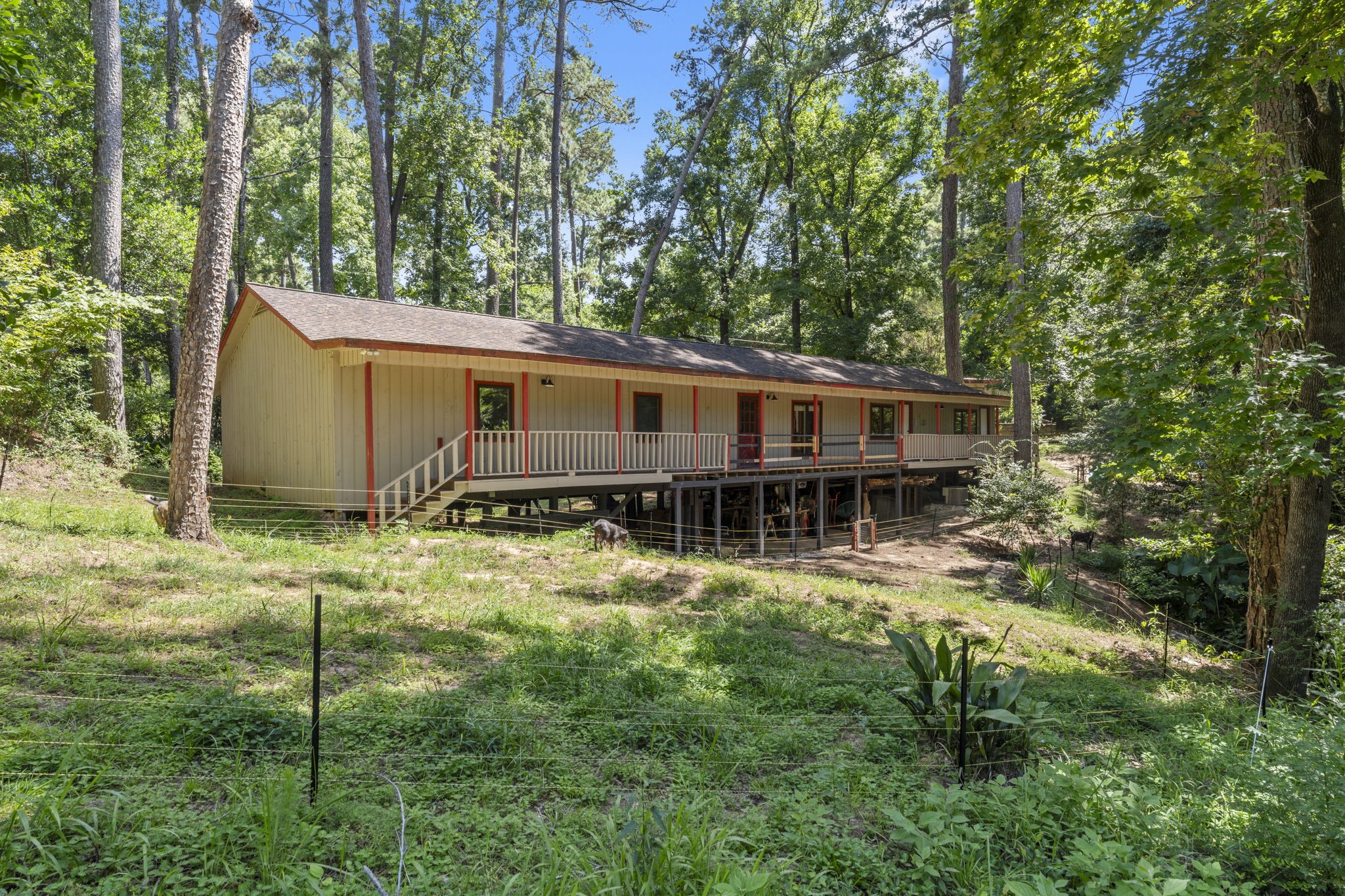 114 Hillendale Street Livingston, TX 77351 - Photo 6 of 46 a house view with a garden space