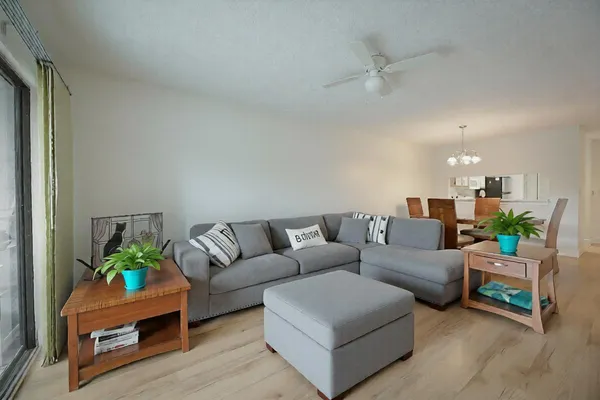 a living room with furniture and a potted plant