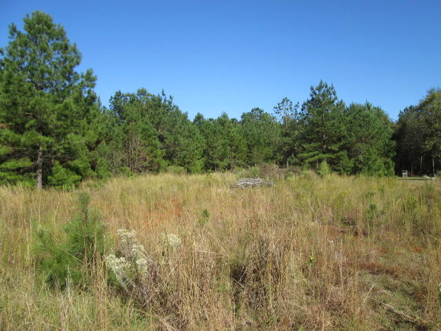 0 Can City Road Walterboro, SC 29488 - Photo 3 of 9 IMG_7275
