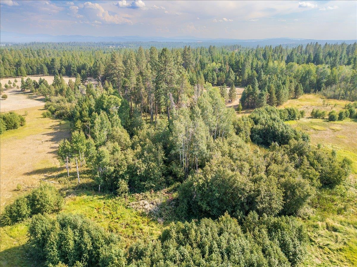 30600 North Mill Road Deer Park, WA 99006 - Photo 12 of 24