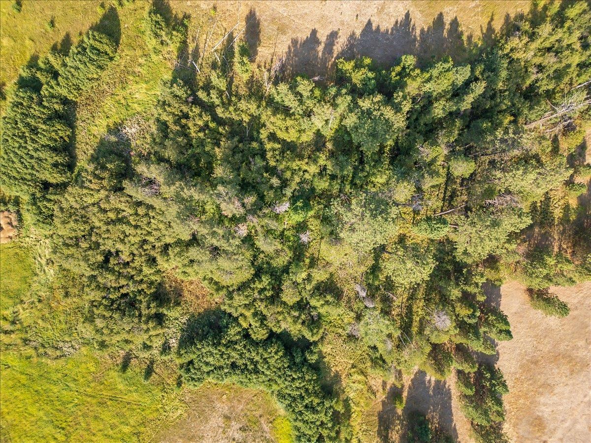 30600 North Mill Road Deer Park, WA 99006 - Photo 14 of 24