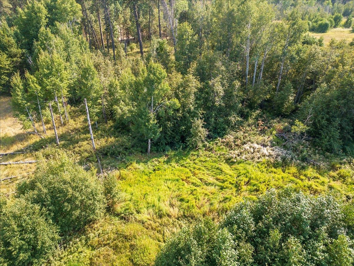 30600 North Mill Road Deer Park, WA 99006 - Photo 18 of 24