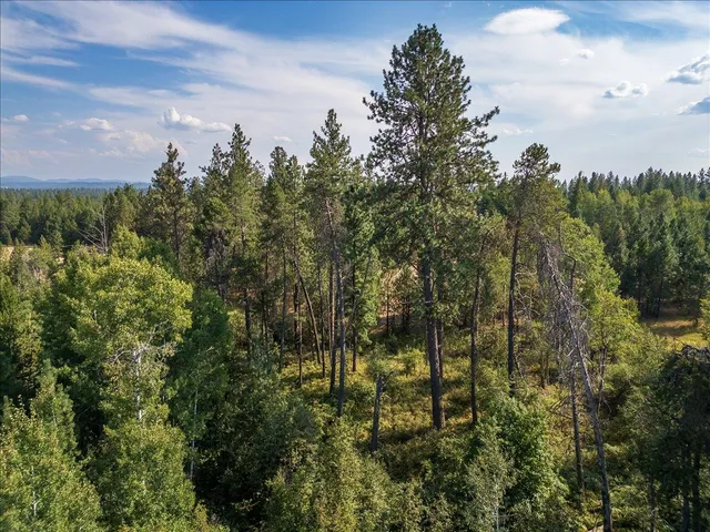 $189,000 | 30600 North Mill Road, Deer Park, WA 99006