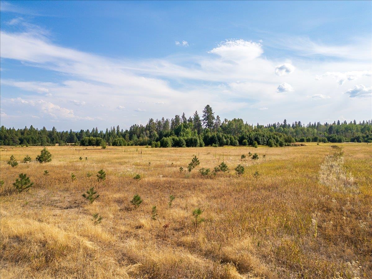 30600 North Mill Road Deer Park, WA 99006 - Photo 23 of 24