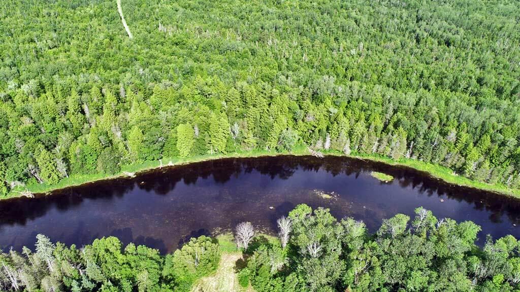 2316 Bancroft Road Bancroft, ME 04497 - Photo 56 of 62 mattawamkeag-bancroft-river