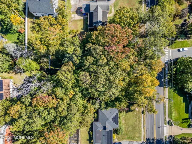 front view of a house with a tree