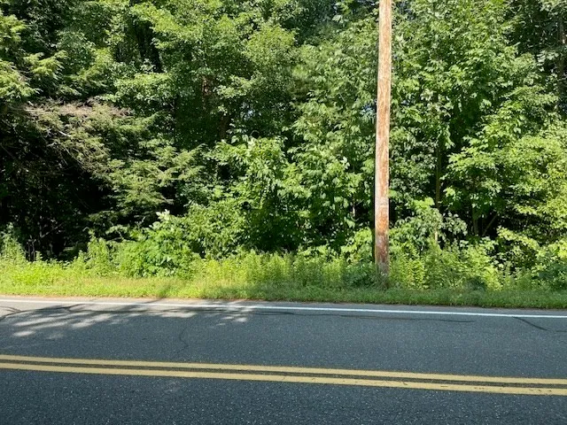 a view of a yard from a window