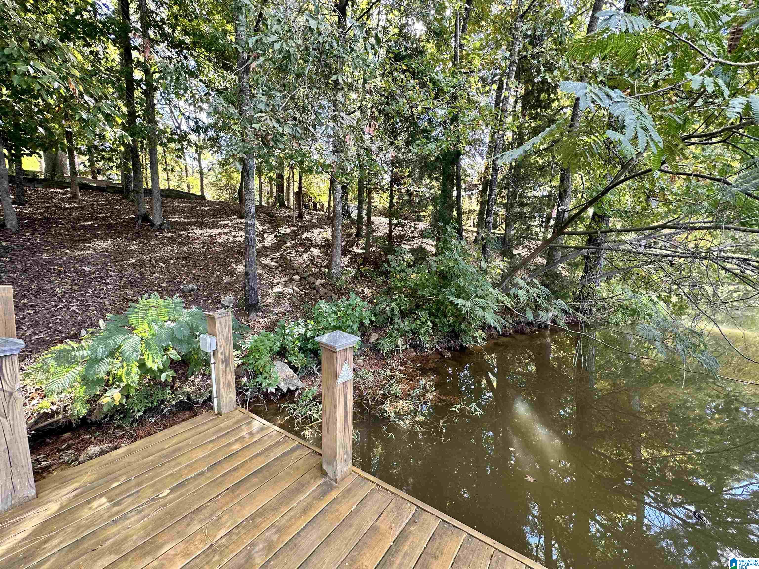 8 Seddon Point Pell City, AL 35128 - Photo 47 of 56