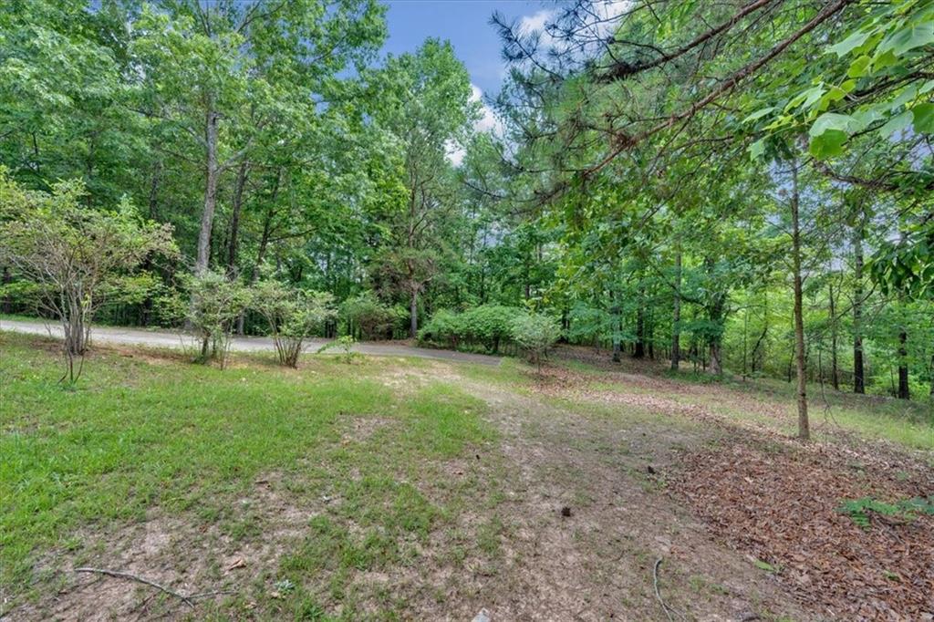 1355 White Road White, GA 30184 - Photo 111 of 120