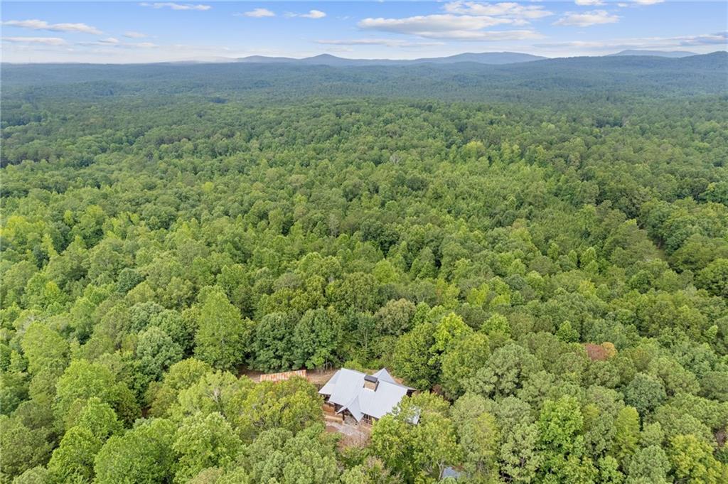 1355 White Road White, GA 30184 - Photo 118 of 120