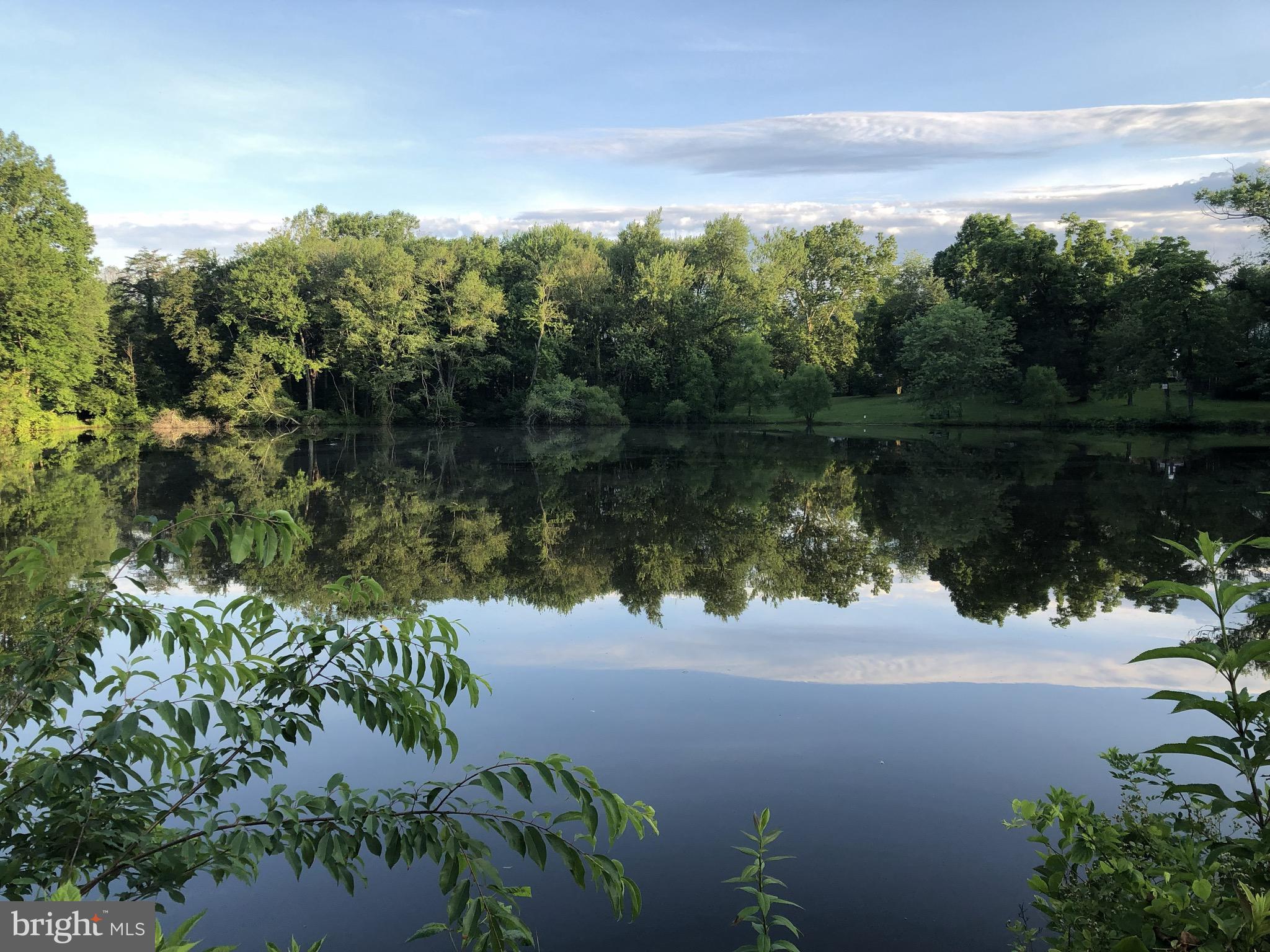 1831 Beulah Road Vienna, VA 22182 - Photo 8 of 12 Summertime