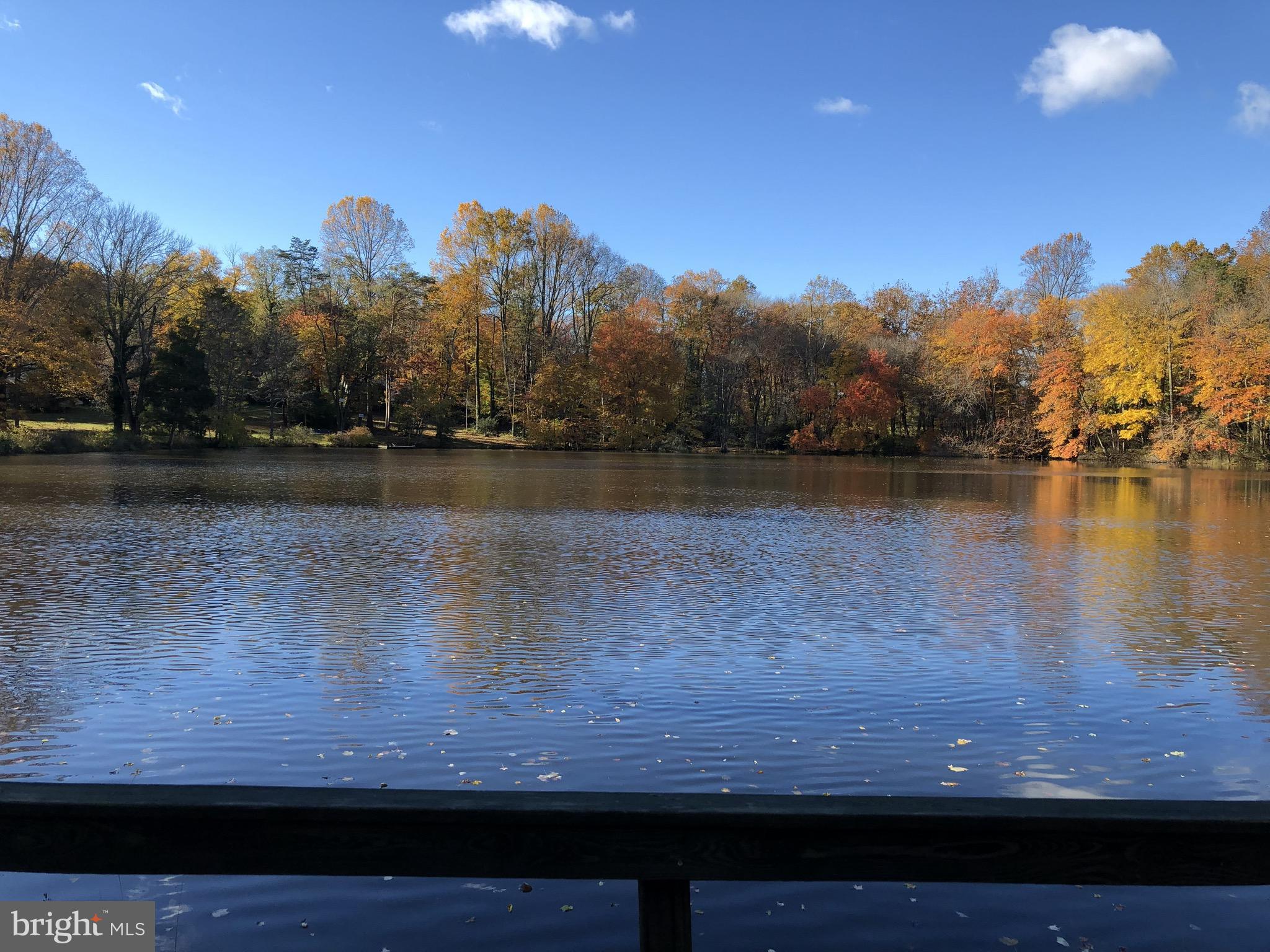 1831 Beulah Road Vienna, VA 22182 - Photo 9 of 12 Fall