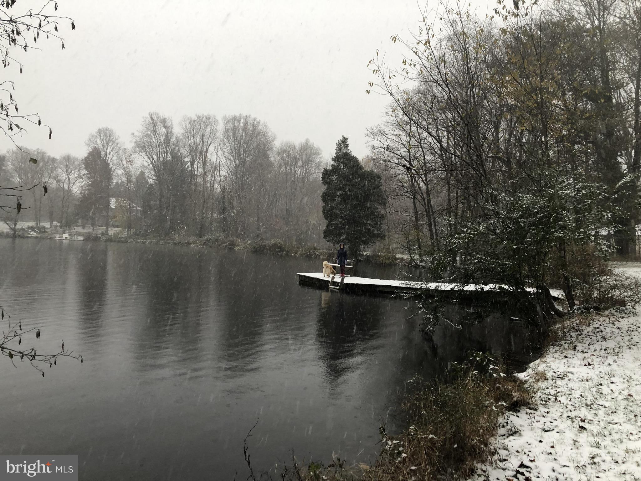 1831 Beulah Road Vienna, VA 22182 - Photo 94 of 96 Snowing on the lake
