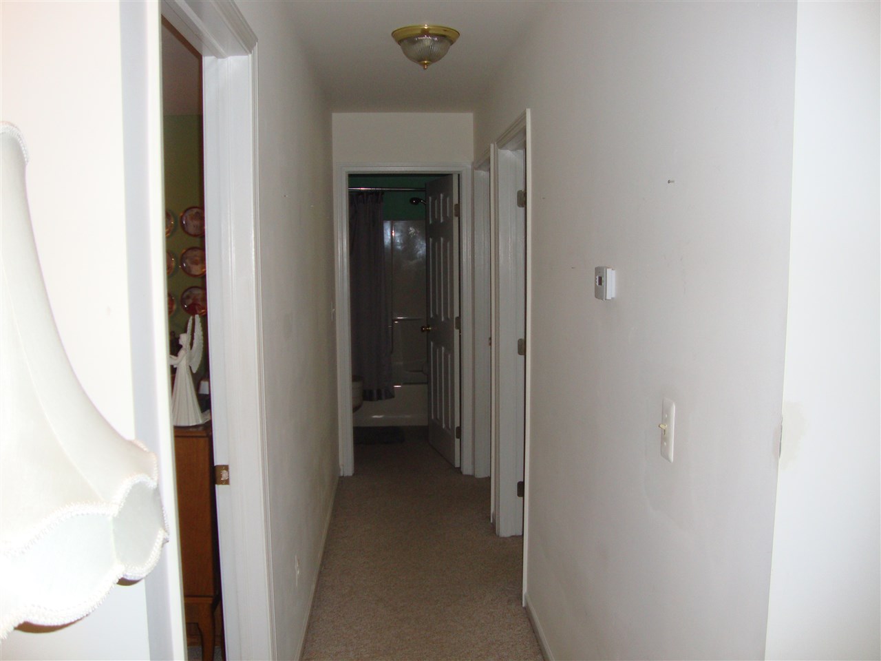 11516 Dunn Road Memphis, MI 48041 - Photo 6 of 13 31257336-5.JPG