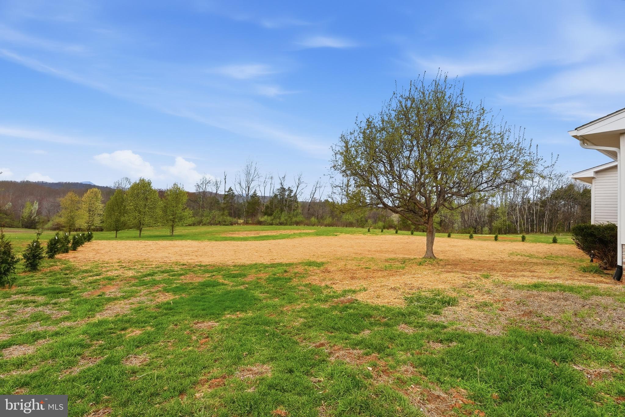 11346 Obannons Mill Road Boston, VA 22713 - Photo 93 of 100