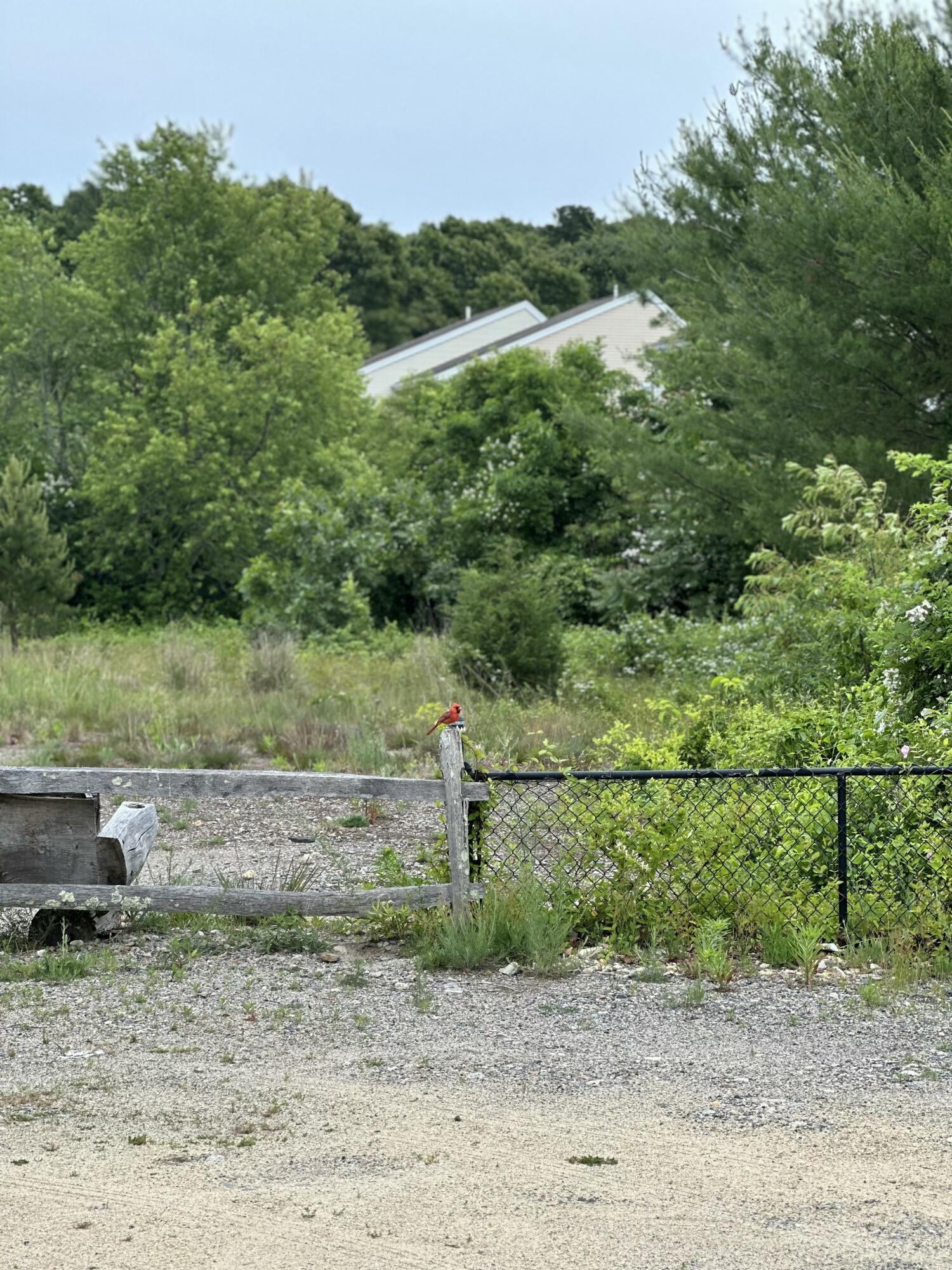 20 Evergreen Street Onset, MA 02558 - Photo 25 of 26 a view of a park with large trees