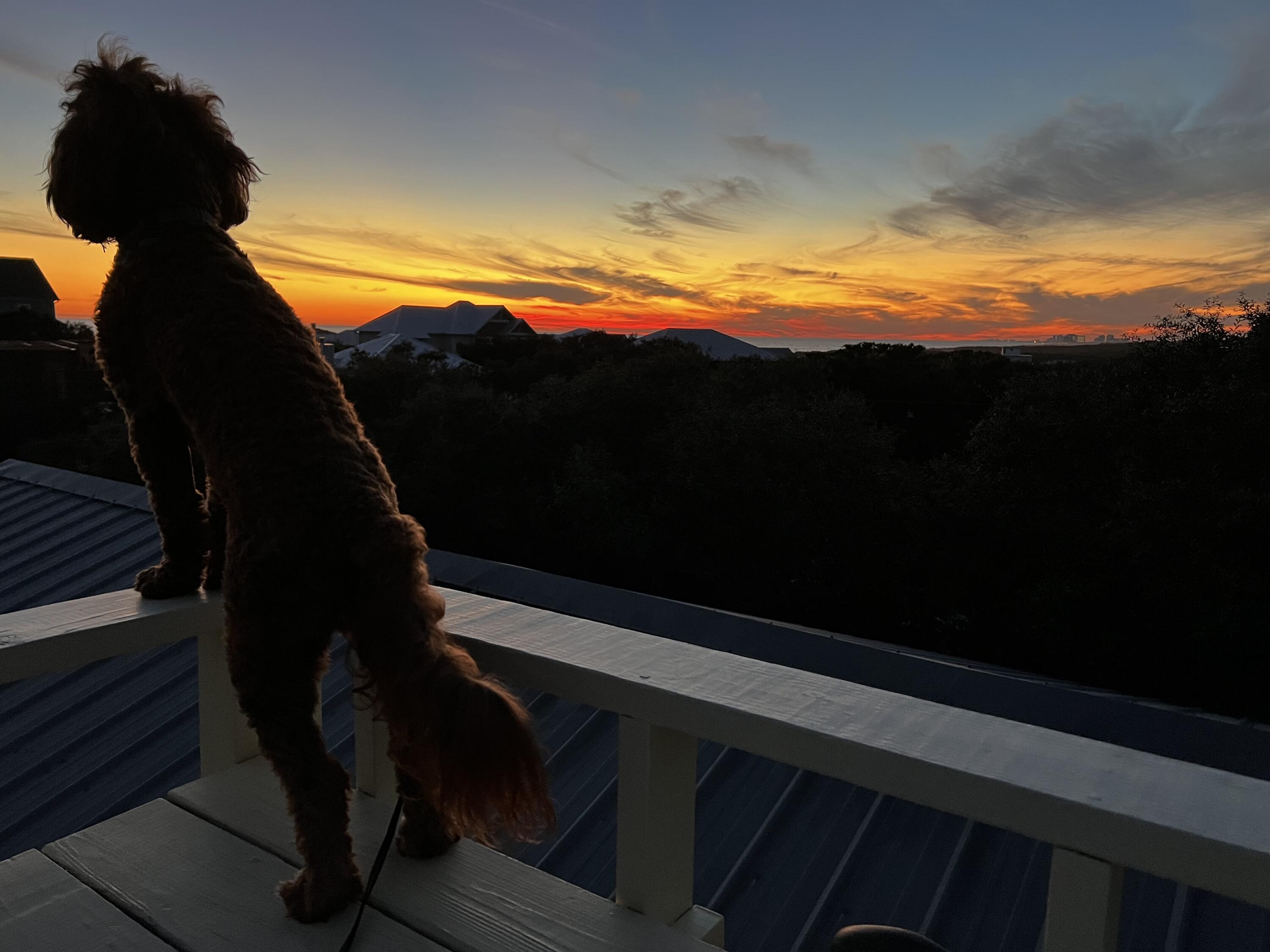 6296 West County Highway 30A Santa Rosa Beach, FL 32459 - Photo 109 of 121 IMG_5067