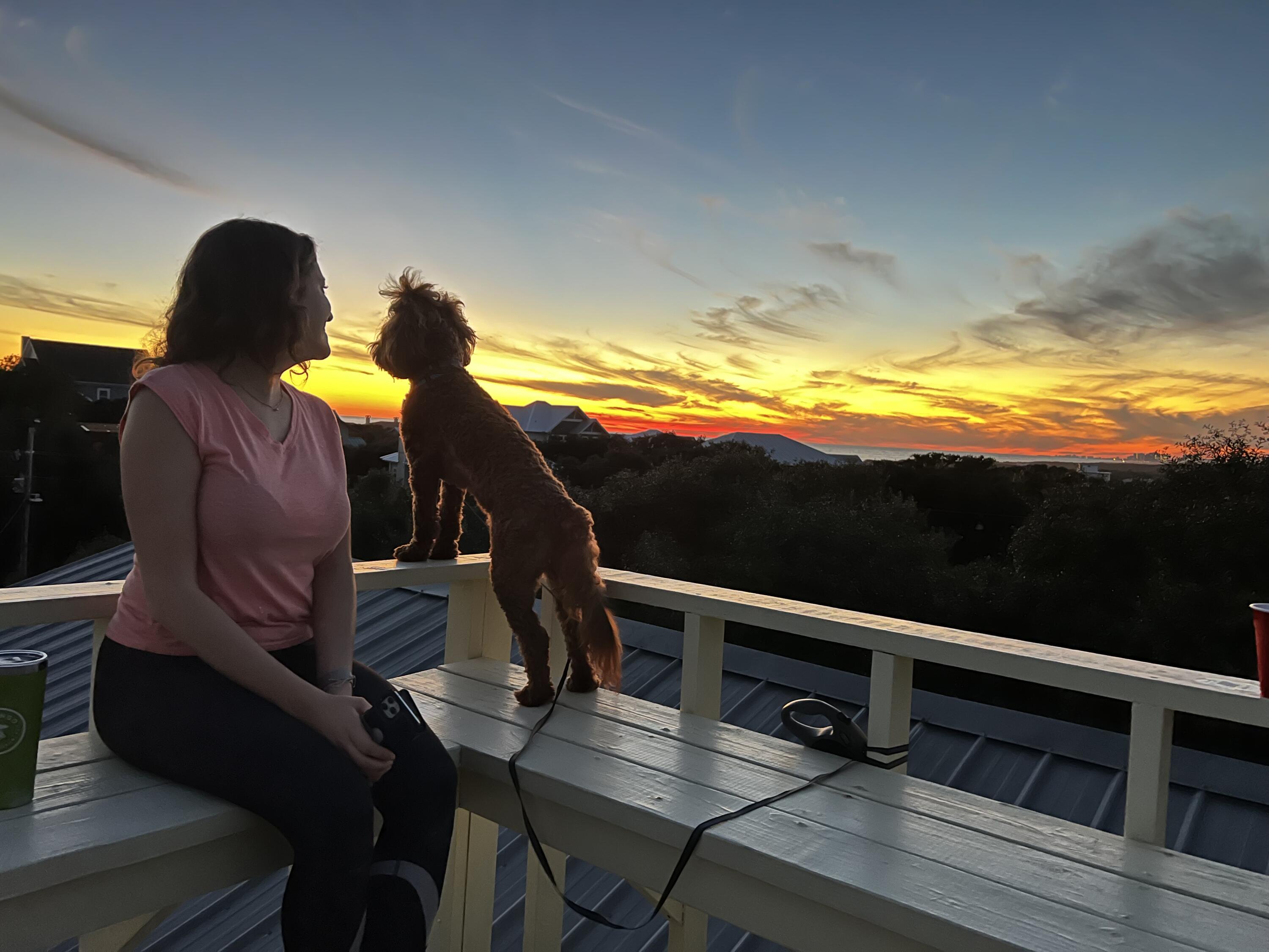 6296 West County Highway 30A Santa Rosa Beach, FL 32459 - Photo 110 of 121 a view of entryway and hall with wooden floor