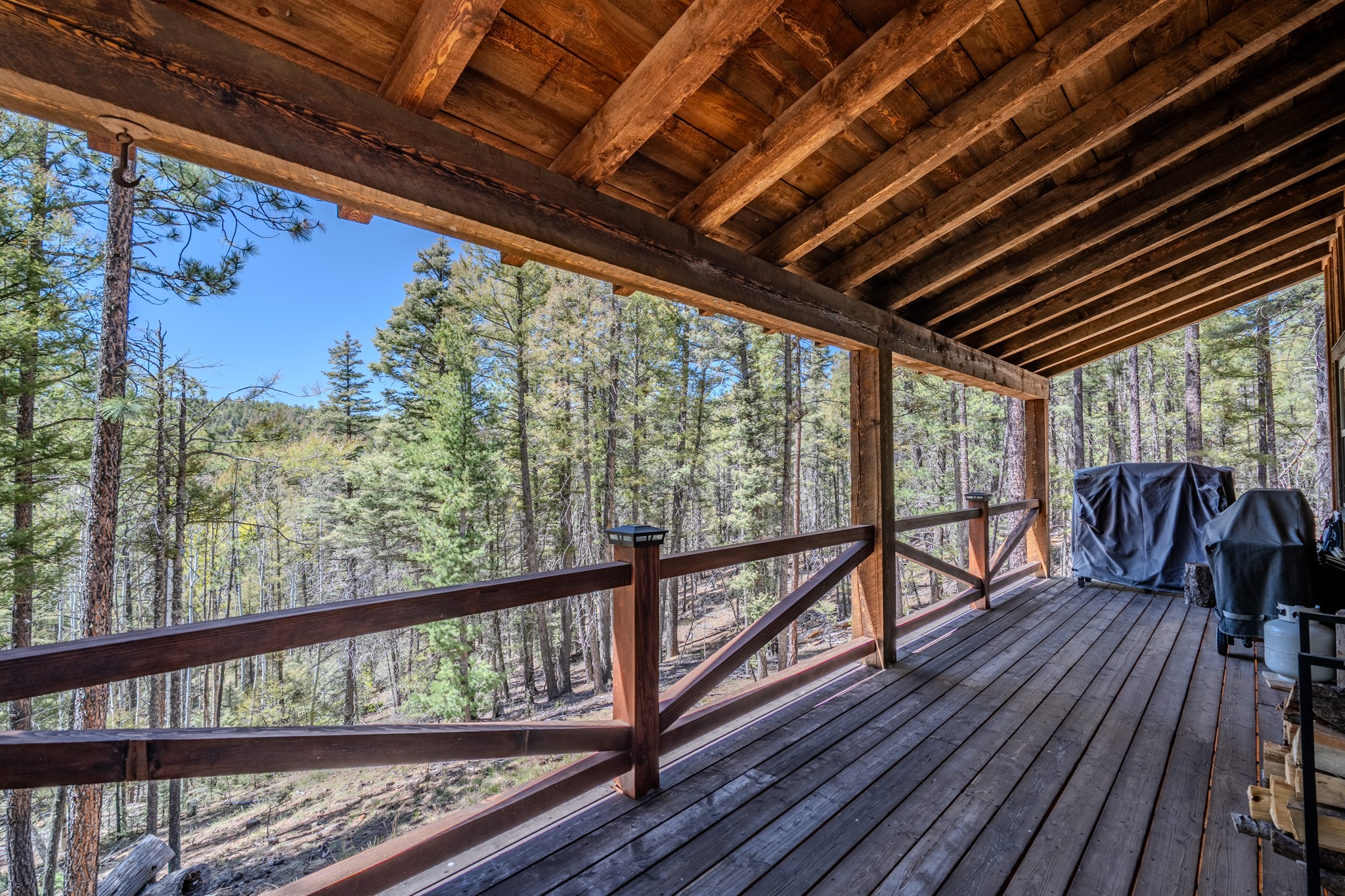 245 Sawyer Mesa Road Tererro, NM 87573 - Photo 5 of 31