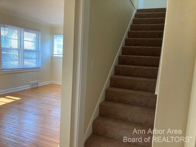 303 Potter Avenue Ann Arbor, MI 48103 - Photo 11 of 19 Photo 11