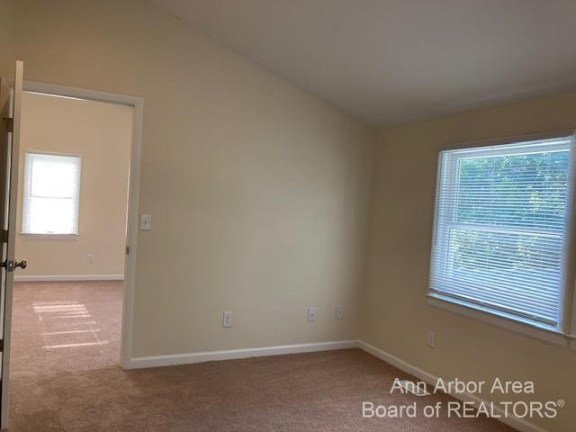 303 Potter Avenue Ann Arbor, MI 48103 - Photo 13 of 19 Photo 13