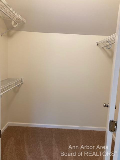 303 Potter Avenue Ann Arbor, MI 48103 - Photo 14 of 19 Photo 14