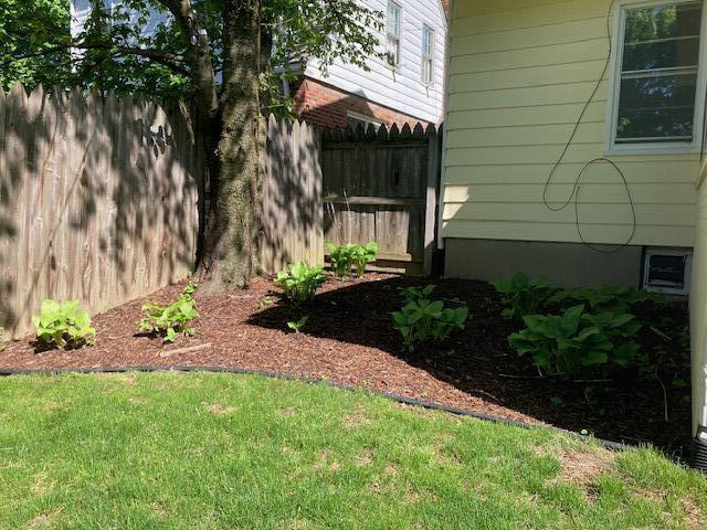 303 Potter Avenue Ann Arbor, MI 48103 - Photo 19 of 19 IMG_0909