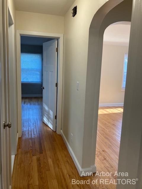 303 Potter Avenue Ann Arbor, MI 48103 - Photo 9 of 19 Photo 9