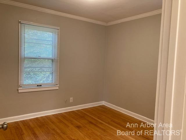 303 Potter Avenue Ann Arbor, MI 48103 - Photo 10 of 19 Photo 10