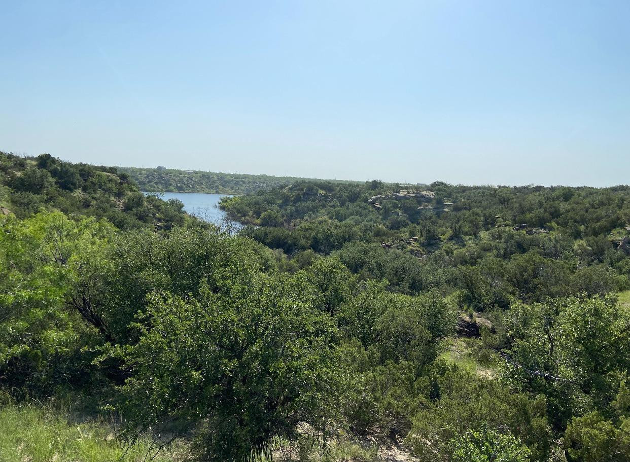 66 Ward Road Snyder, TX 79549 - Photo 3 of 7 Photo 3