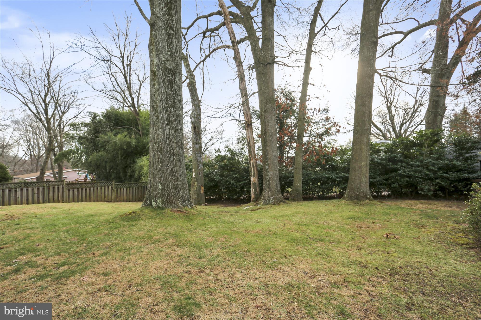 900 Hyde Road Silver Spring, MD 20902 - Photo 29 of 30 Back Yard