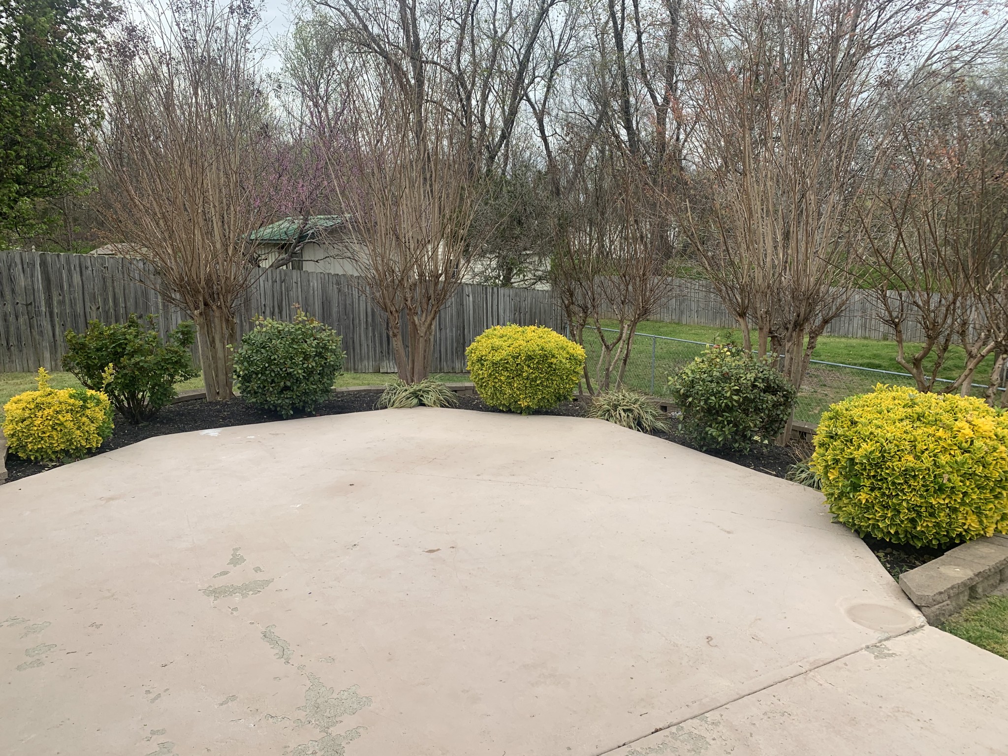 110 Pine Grove Road Mount Juliet, TN 37122 - Photo 4 of 19 Gallery Image 4