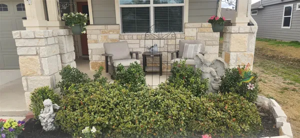 wooden floor with a potted plant