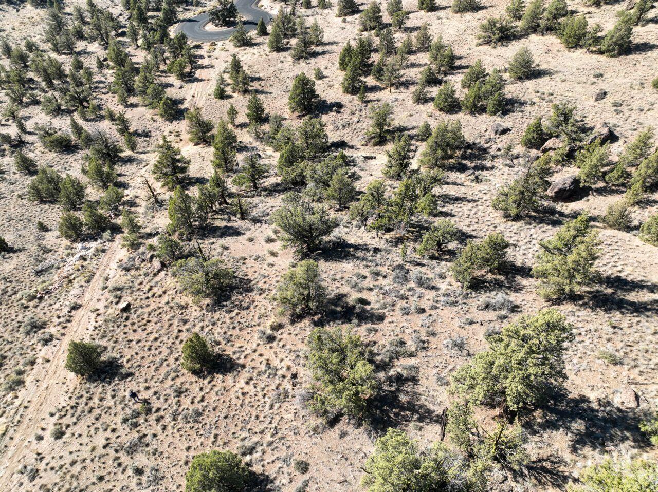 10081 Pavati Road, Unit LOT 35 Prineville, OR 97754 - Photo 4 of 23 photos_web_resolution_DJI_0004