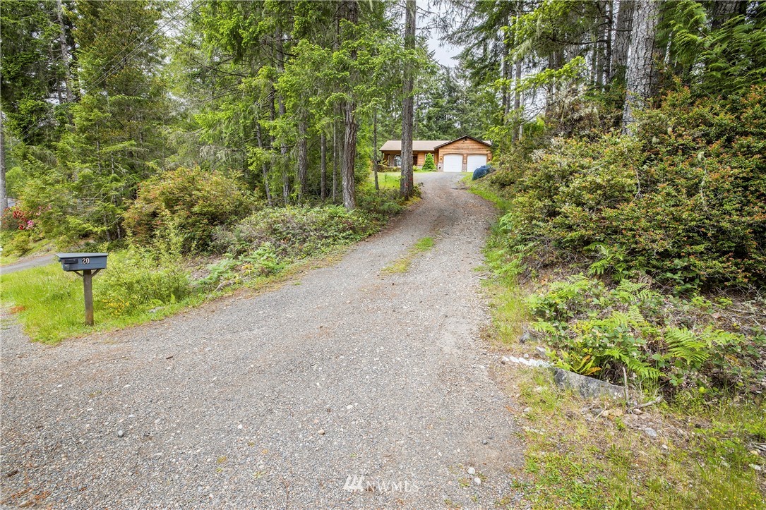 20 East Rd Of Tralee Shelton, WA 98584 - Photo 2 of 18 a view of a yard with plants and trees