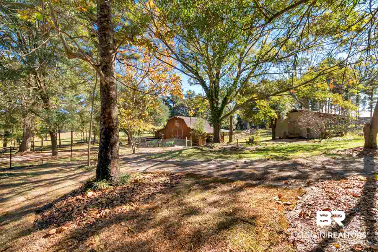 133 Allen Walker Road Grove Hill, AL 36451 - Photo 37 of 46 Back Yard
