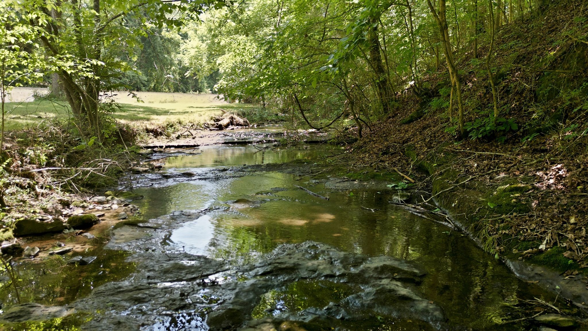 0 Franklin Road Charlotte, TN 37036 - Photo 9 of 44